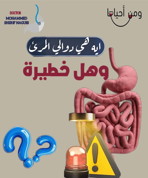 الدكتور محمد شريف نجيب 